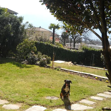Daire Casa Alice