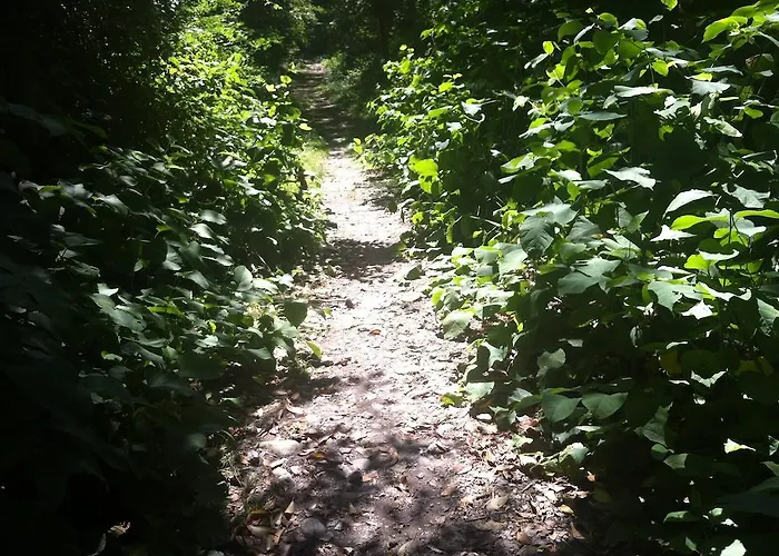 Апартаменты Casa Alice *