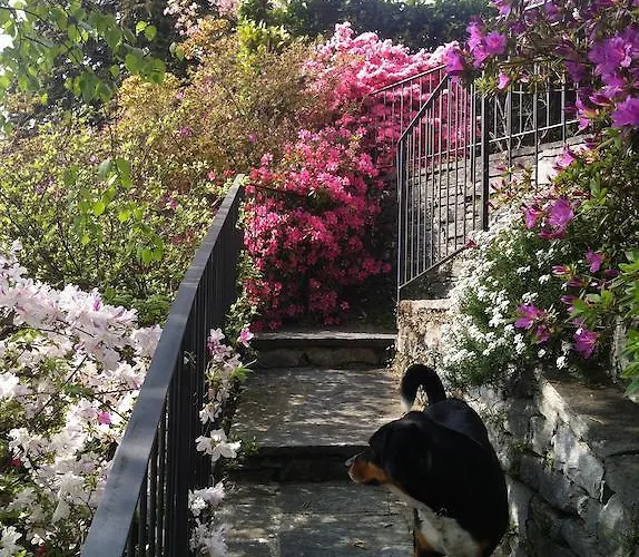 Апартаменты Casa Alice